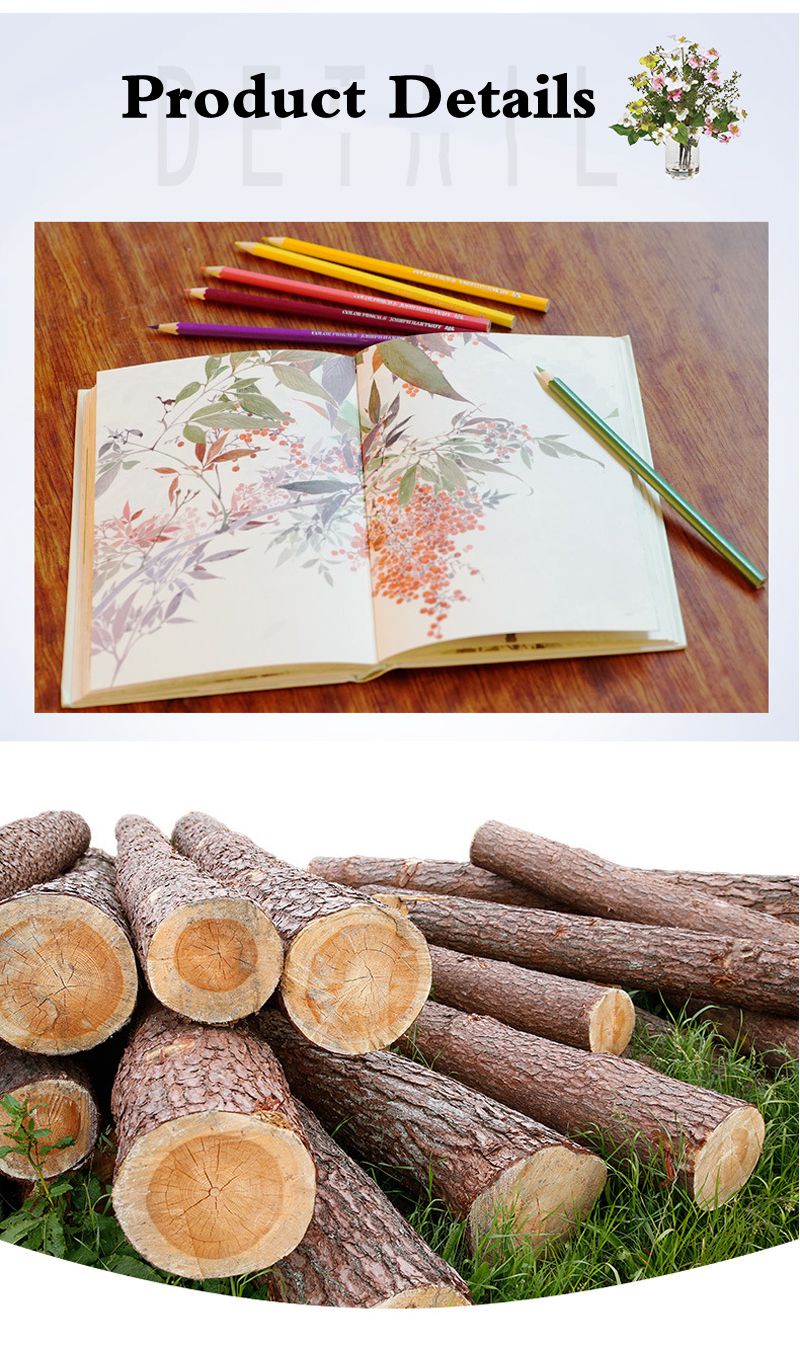 12/18/24/36/48/72 Colors Wood Colored Pencils Lapis De Cor Artist Painting Oil Color Pencil School Drawing Sketch Art Supplies 12/18/24/36/48/72 Colors Wood Colored Pencils Lapis De Cor Artist Painting Oil Color Pencil School Drawing Sketch Art Supplies