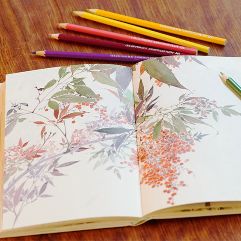 12/18/24/36/48/72 Colors Wood Colored Pencils Lapis De Cor Artist Painting Oil Color Pencil School Drawing Sketch Art Supplies 12/18/24/36/48/72 Colors Wood Colored Pencils Lapis De Cor Artist Painting Oil Color Pencil School Drawing Sketch Art Supplies